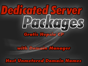 Inexpensive dedicated servers hosting packages